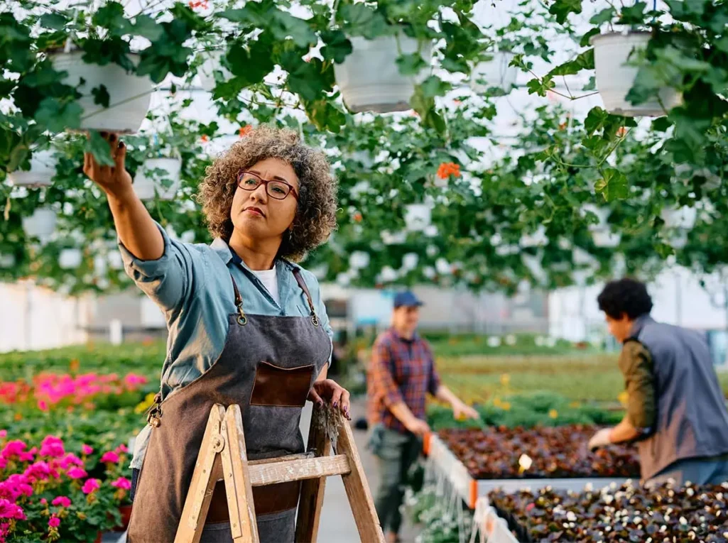 post-img-13 post-img-13