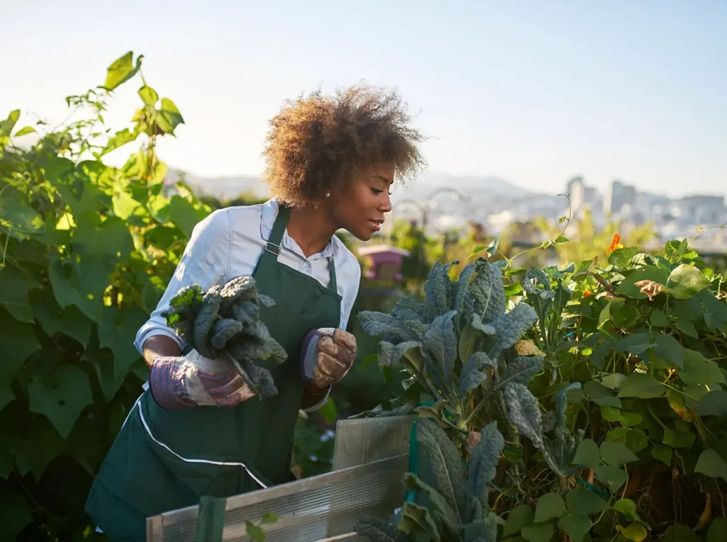 post-img-4-min post-img-4-min